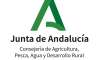 Imagen 5 Imagen 5